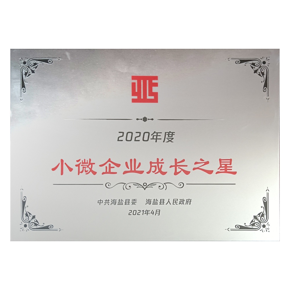 2020年度小微企業(yè)成長(cháng)之星